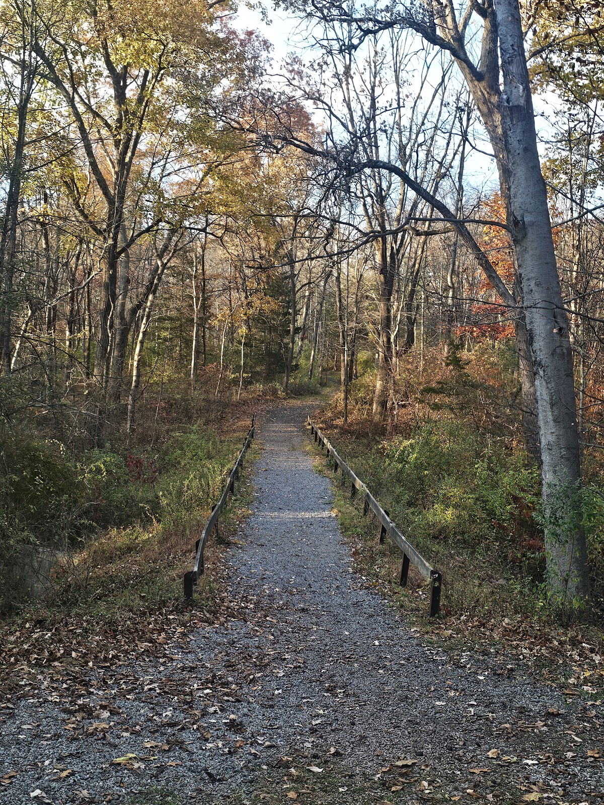 Baskingridge ParkBaskingridge - Photo 4