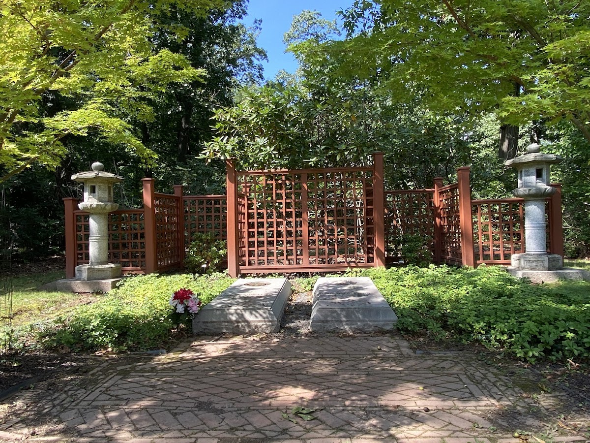 Home - Photo 4