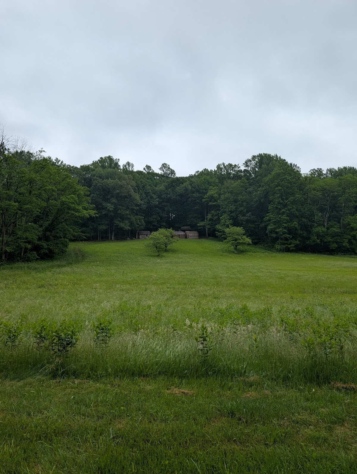 Jockey Hollow - Photo 4