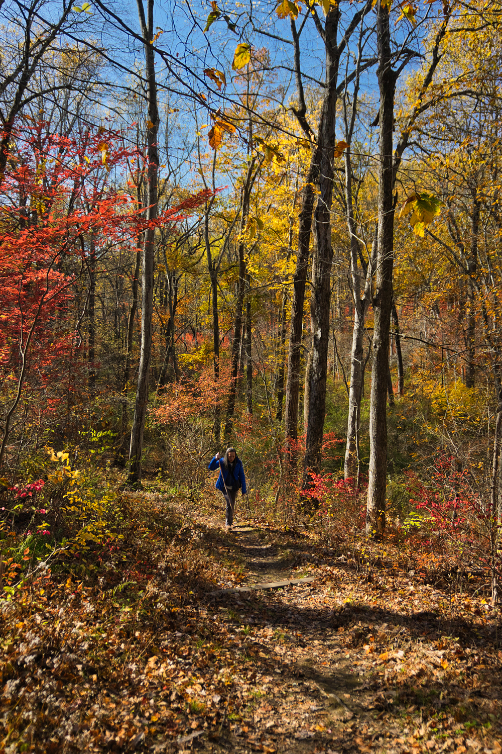 Jockey Hollow - Photo 5